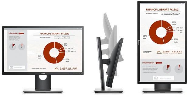 Dell Professional P2217H 22 inch - A-Grade